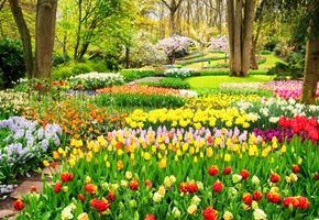 Where to go when - Spring