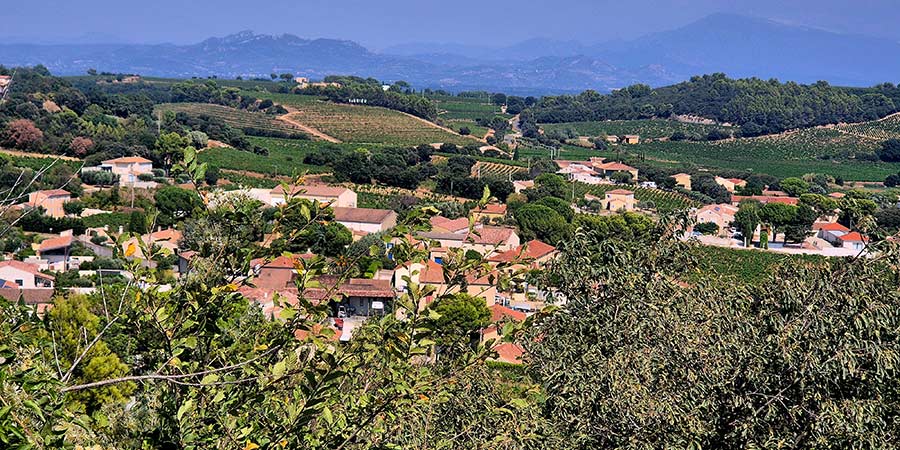 Vineyards of Châteauneuf-du-Pape