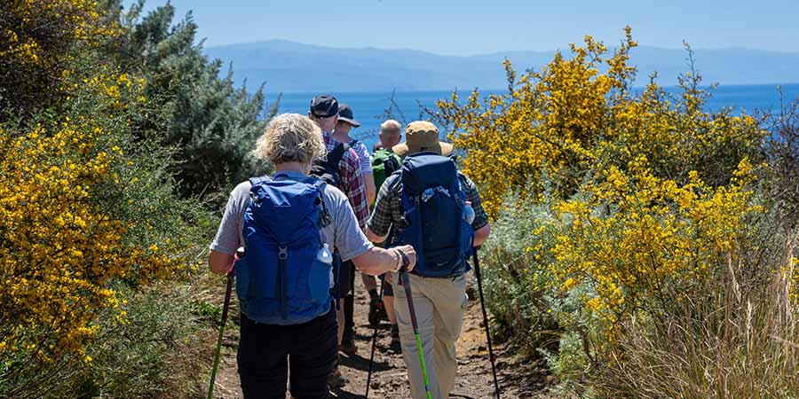 A group of hikers. 